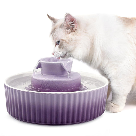 Ceramic Cat Water Fountain (Purple)