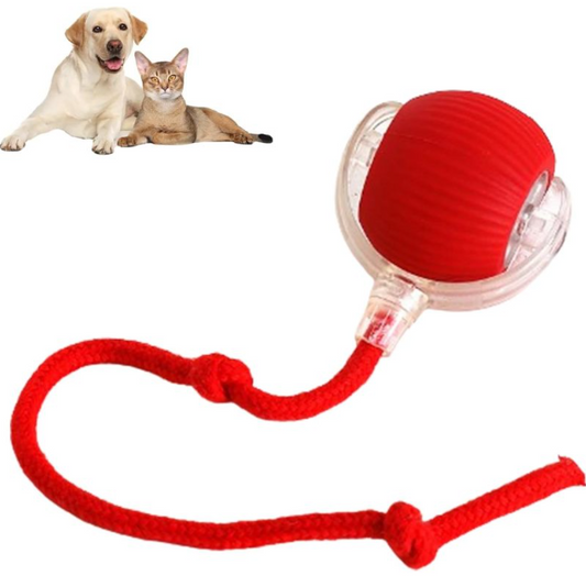 Smart Auto-Rolling Pet Ball