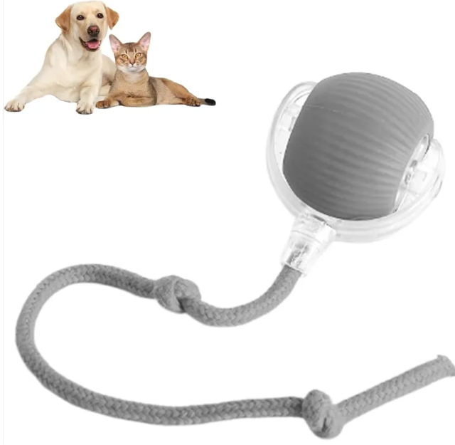 Smart Auto-Rolling Pet Ball